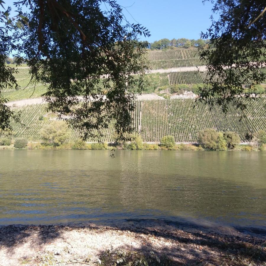 Fewo Sonnenlay - Apartments An Der Mosel Brauneberg Dış mekan fotoğraf