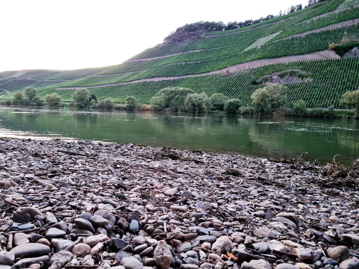 Fewo Sonnenlay - Apartments An Der Mosel Brauneberg Dış mekan fotoğraf