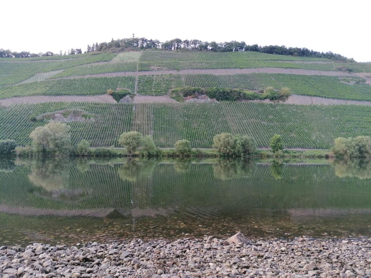 Fewo Sonnenlay - Apartments An Der Mosel Brauneberg Dış mekan fotoğraf