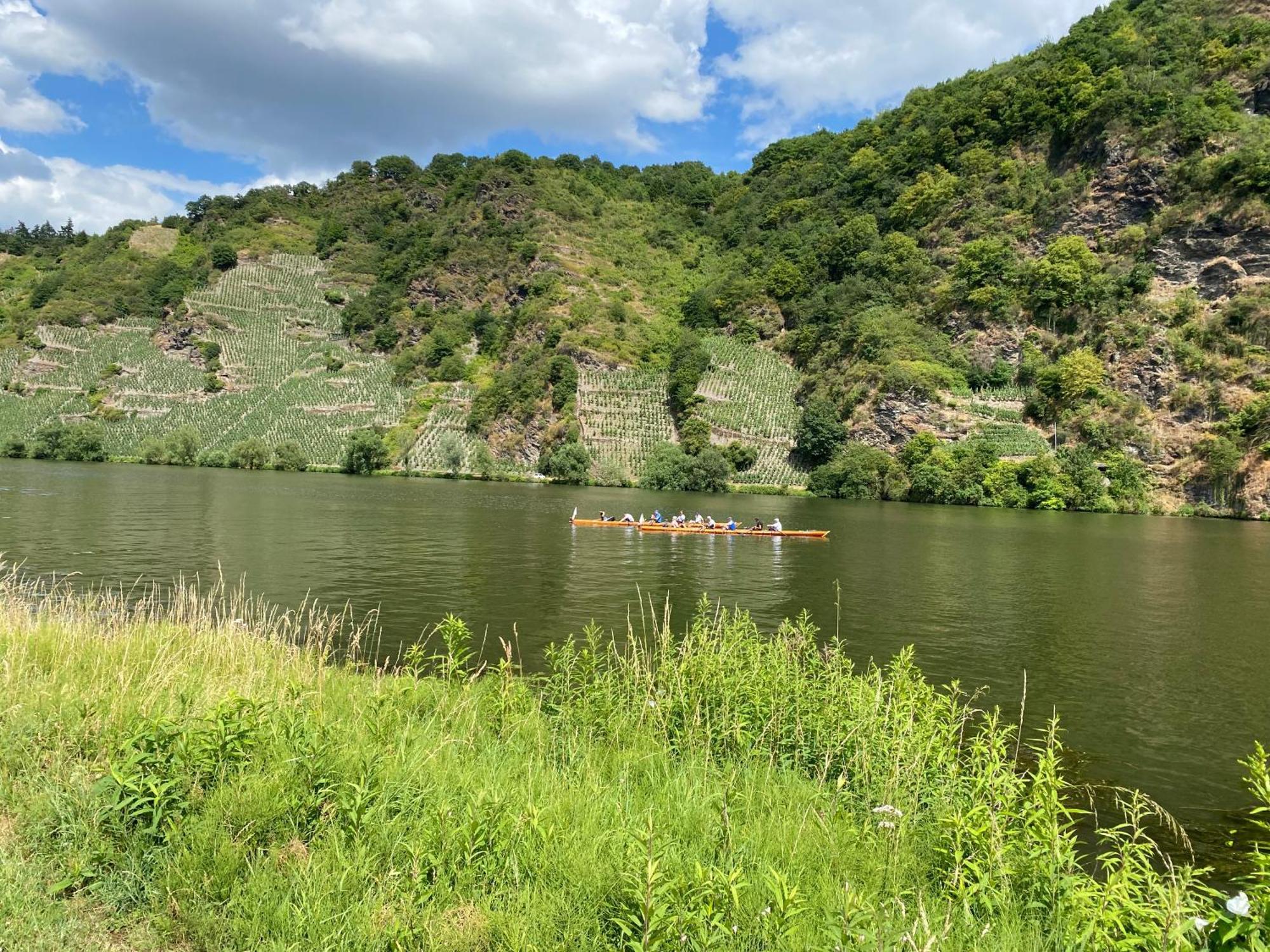 Fewo Sonnenlay - Apartments An Der Mosel Brauneberg Dış mekan fotoğraf
